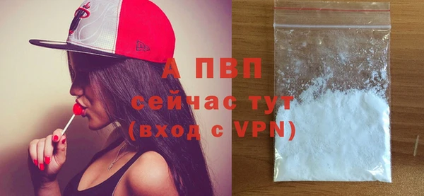 дурь Лабытнанги