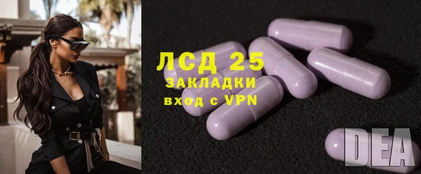 спайс Ладушкин