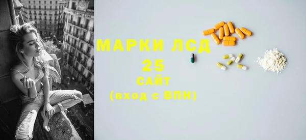 спайс Ладушкин